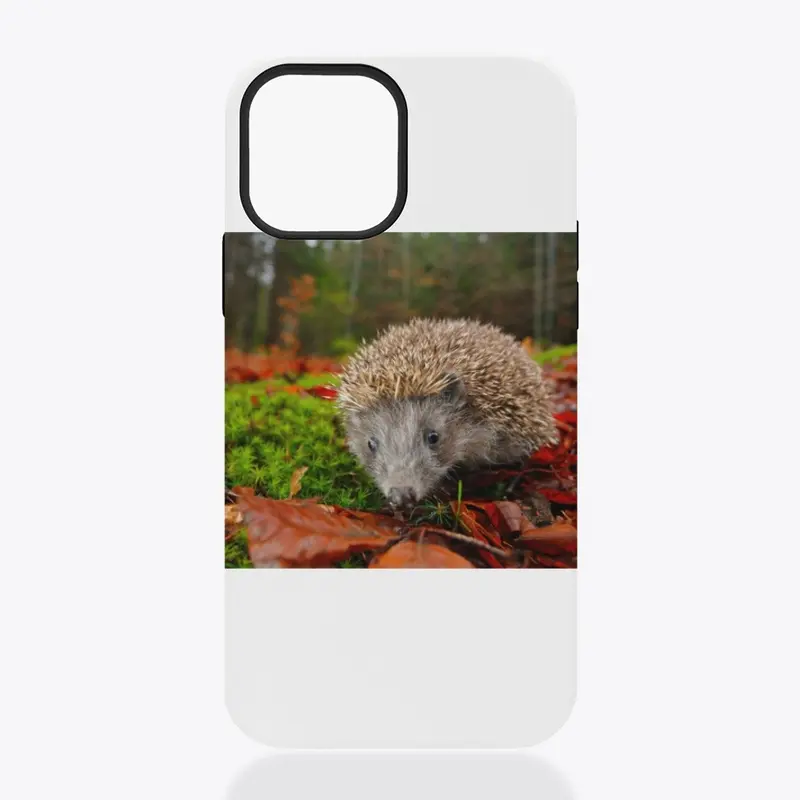 hedgehog