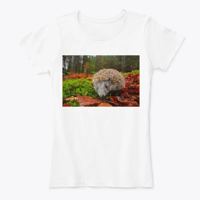 hedgehog