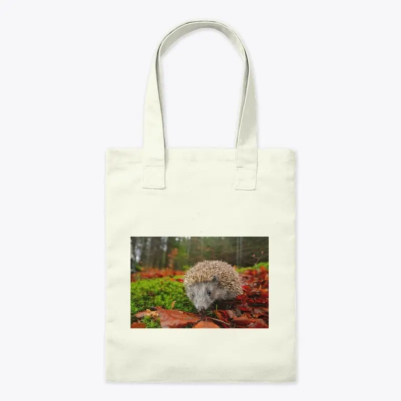 hedgehog