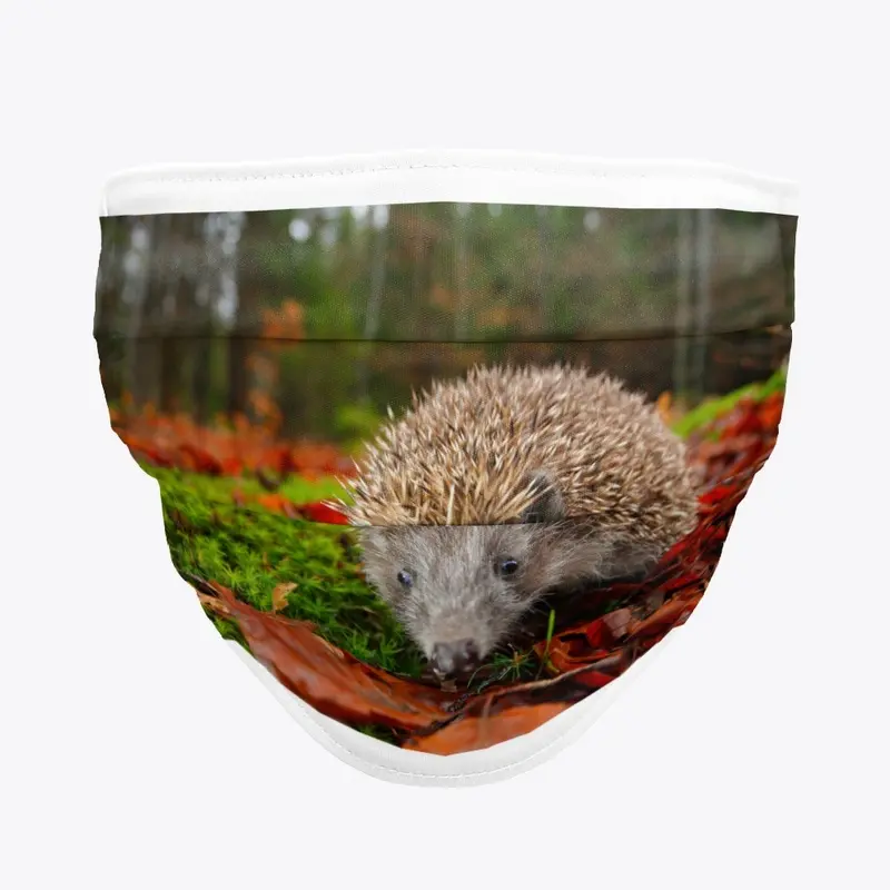 hedgehog