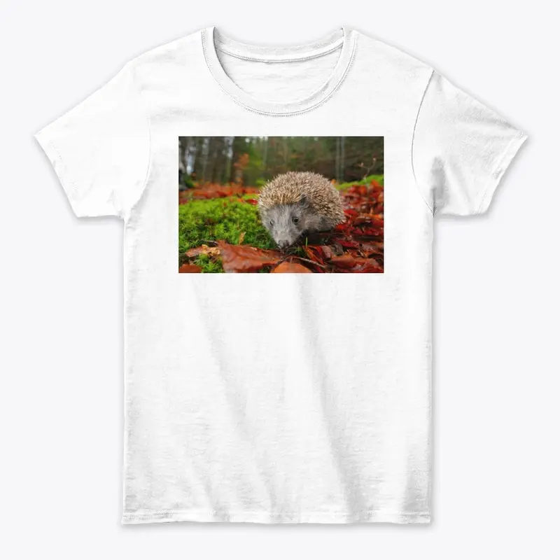 hedgehog