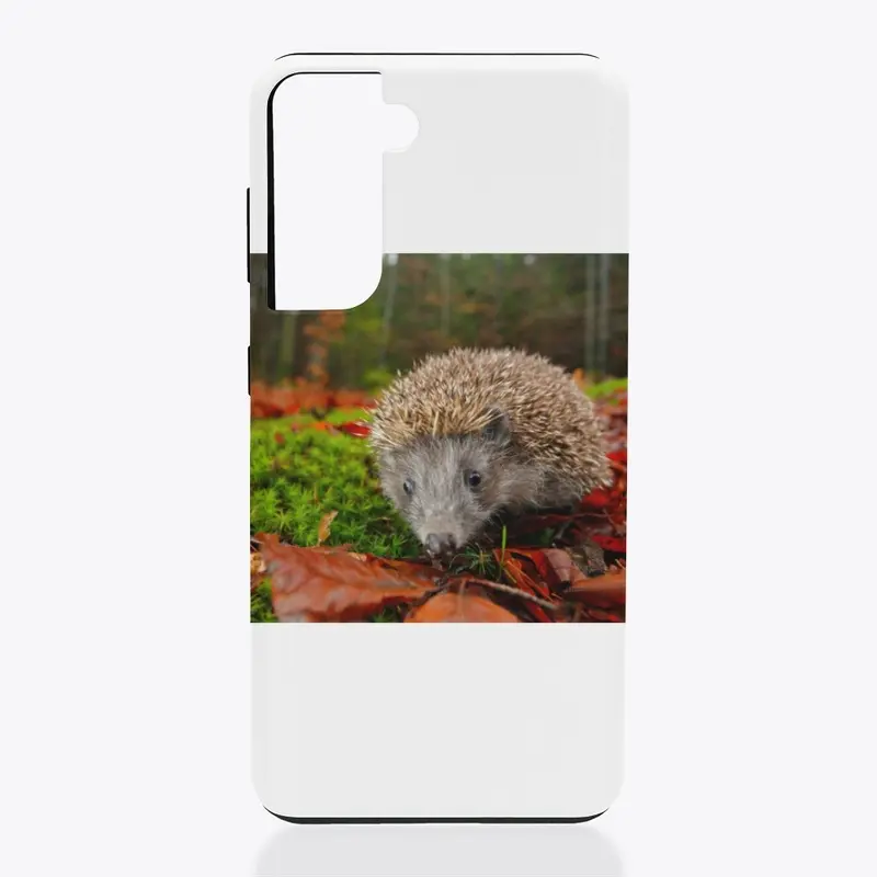 hedgehog