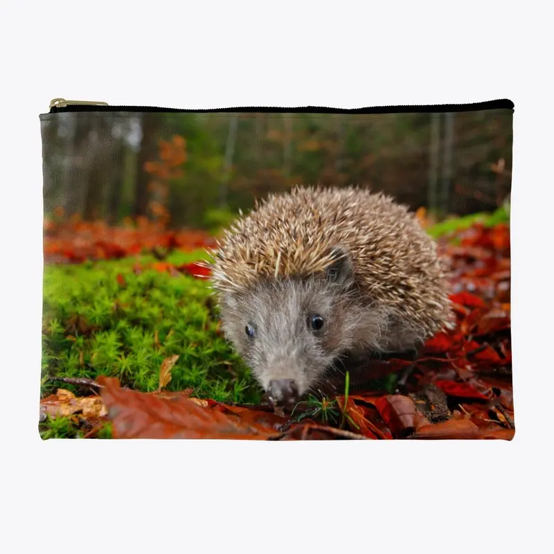 hedgehog