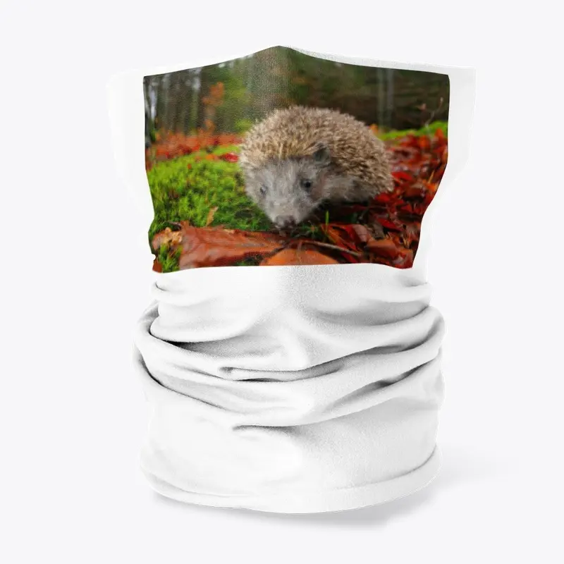 hedgehog